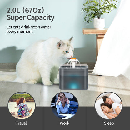 2L Pet Dog Cat Water Fountain Automatic LED Auto Dish Drinking Dispenser Bowl